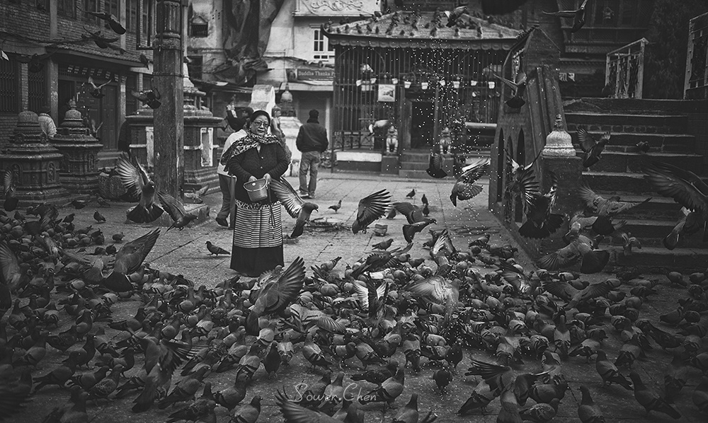 寺庙 喂鸽子的女人 - 街头 - 陈誉文Sower