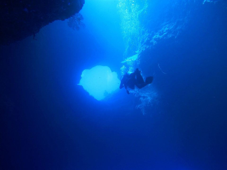 blue hole - palau - sharhu -