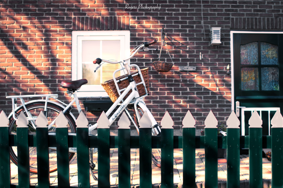 自我反思 - 色彩, 静物 - 刘若谷