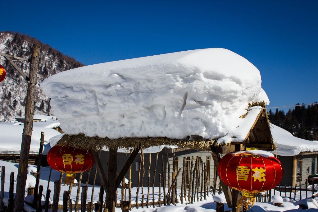 中国雪乡·雪糕做的村子 - 雪花猫爪