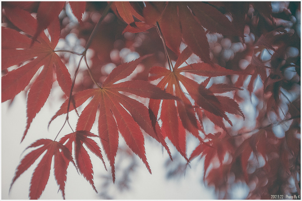 _DSF2154 - Fuji, X100, 35mm, 济南 - K - 济南