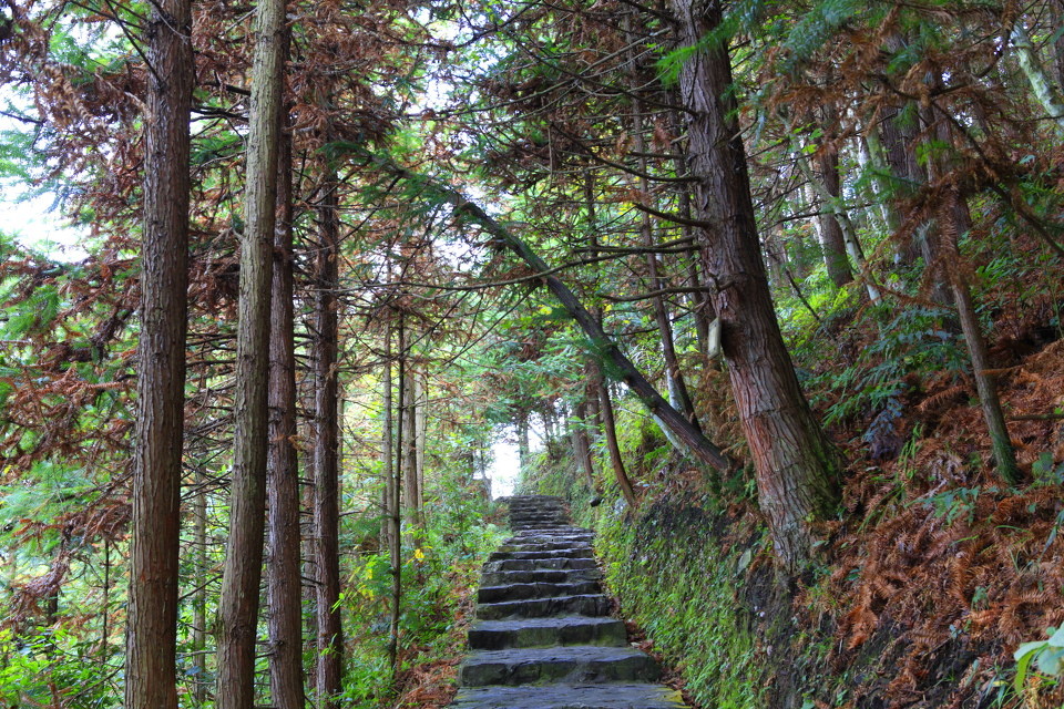 中国最小的县城广西金秀瑶族自治县莲花山 - 青