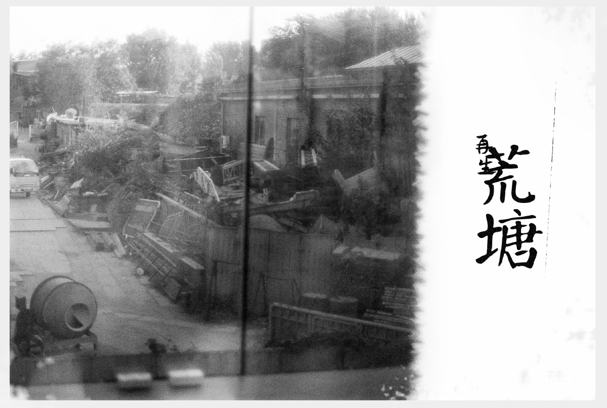  000001  - 杨小花 - 图虫摄影网