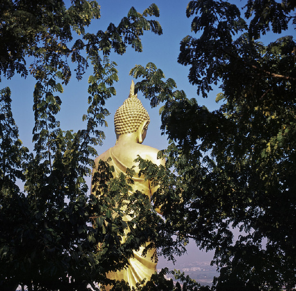 2012dong-120-25