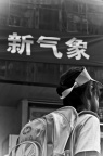 fangxue-9