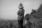 澜沧江边-16