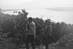 澜沧江边-19