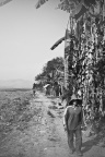 澜沧江边-20