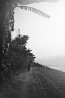 澜沧江边-22