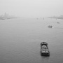 BW。。。FEEL