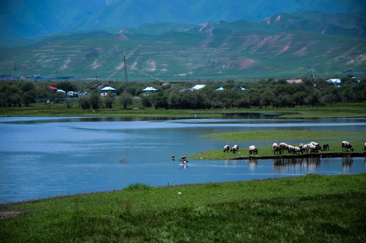 二道贩子 - 图虫摄影网