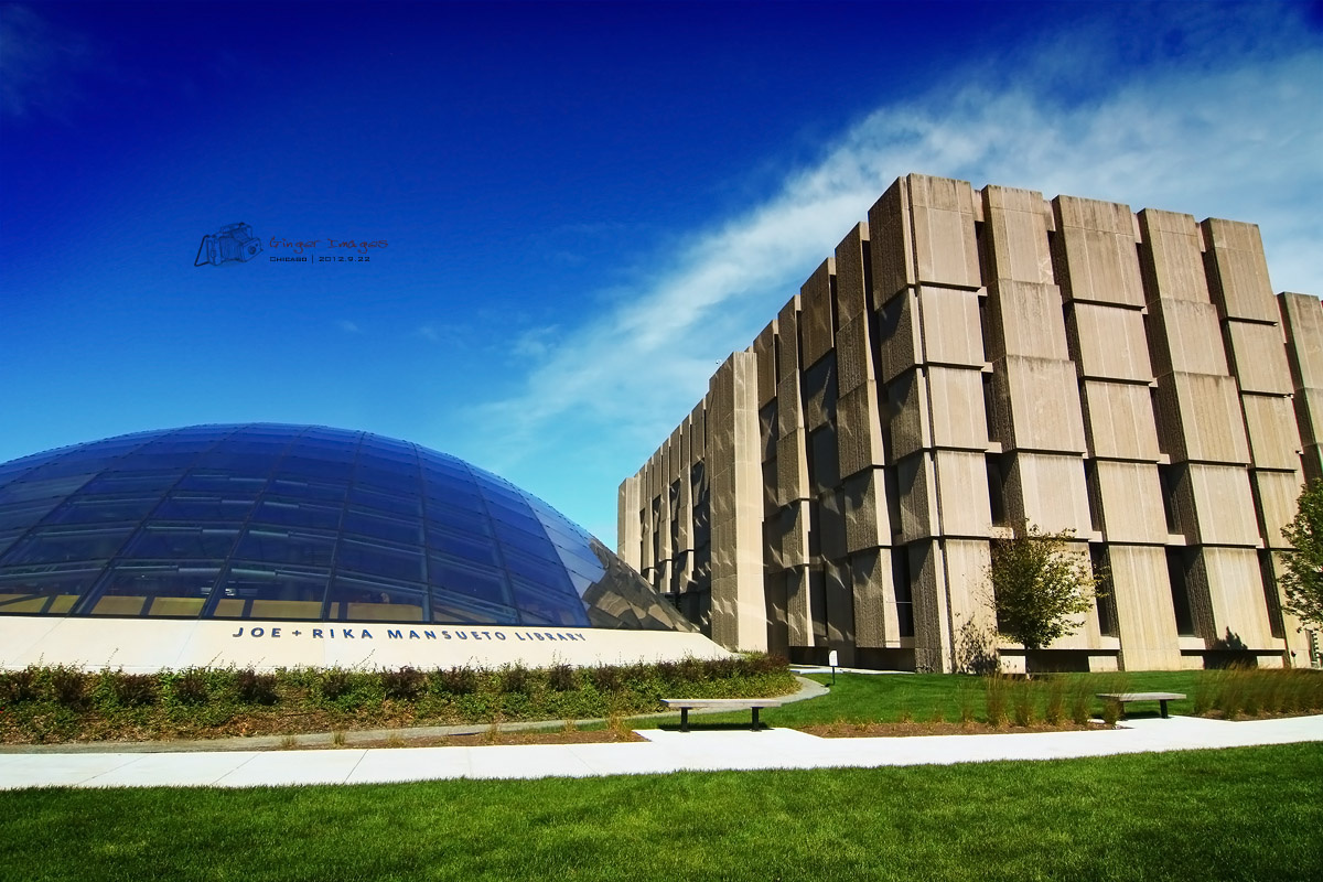 芝加哥大学 - 芝加哥, 芝加哥大学, 城市, 建筑, 学