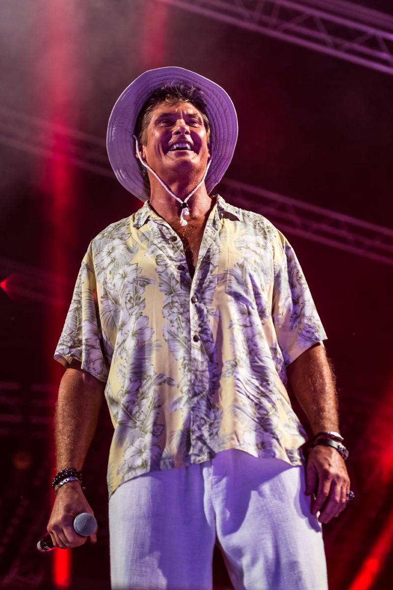 妞蛋来家2周啦 - 狗 - 韩瑞在里约 - 图虫摄影网