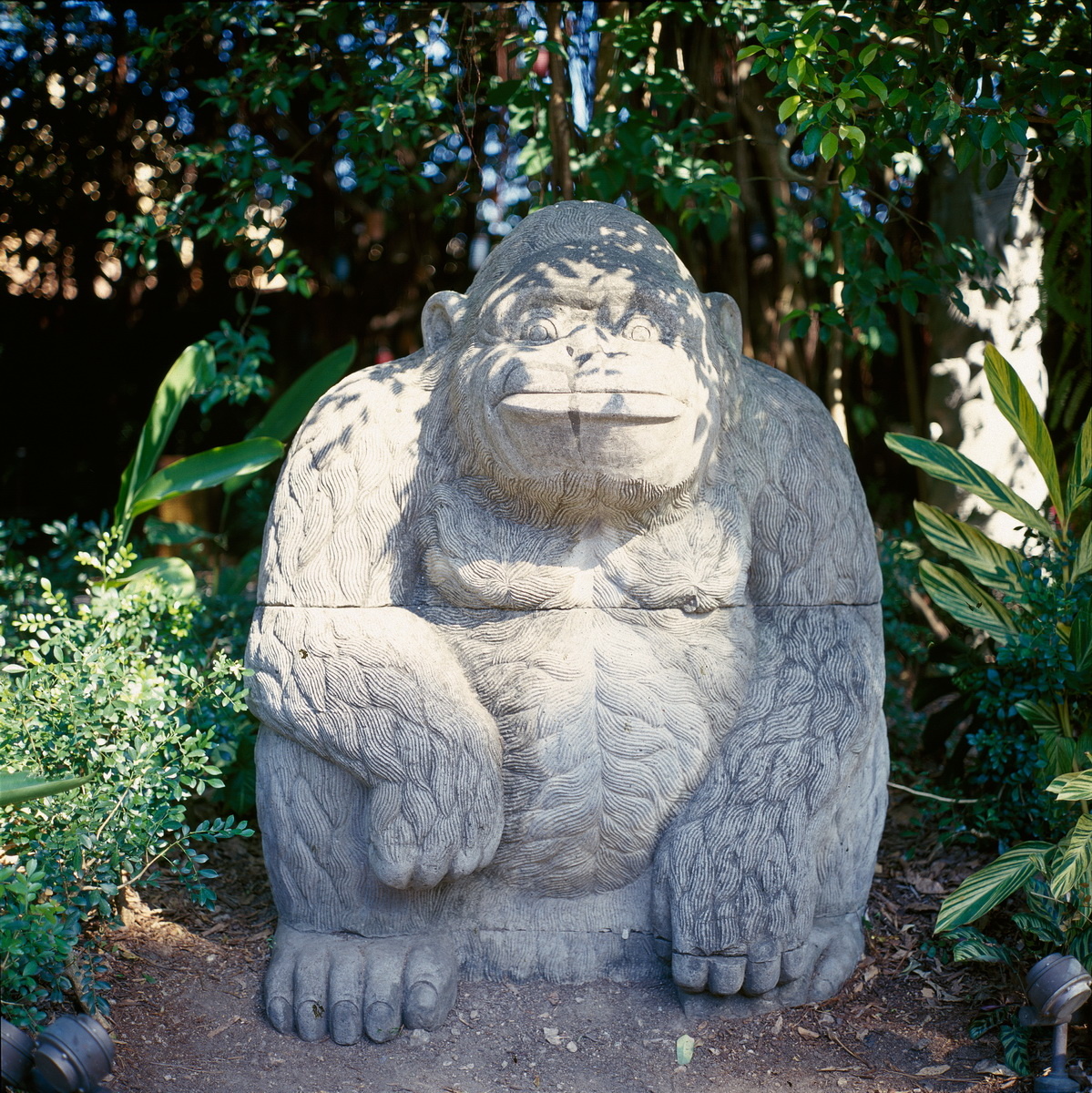 香港迪士尼 by 禄来2.8f - Rolleiflex, 2.8f - 肌肉男