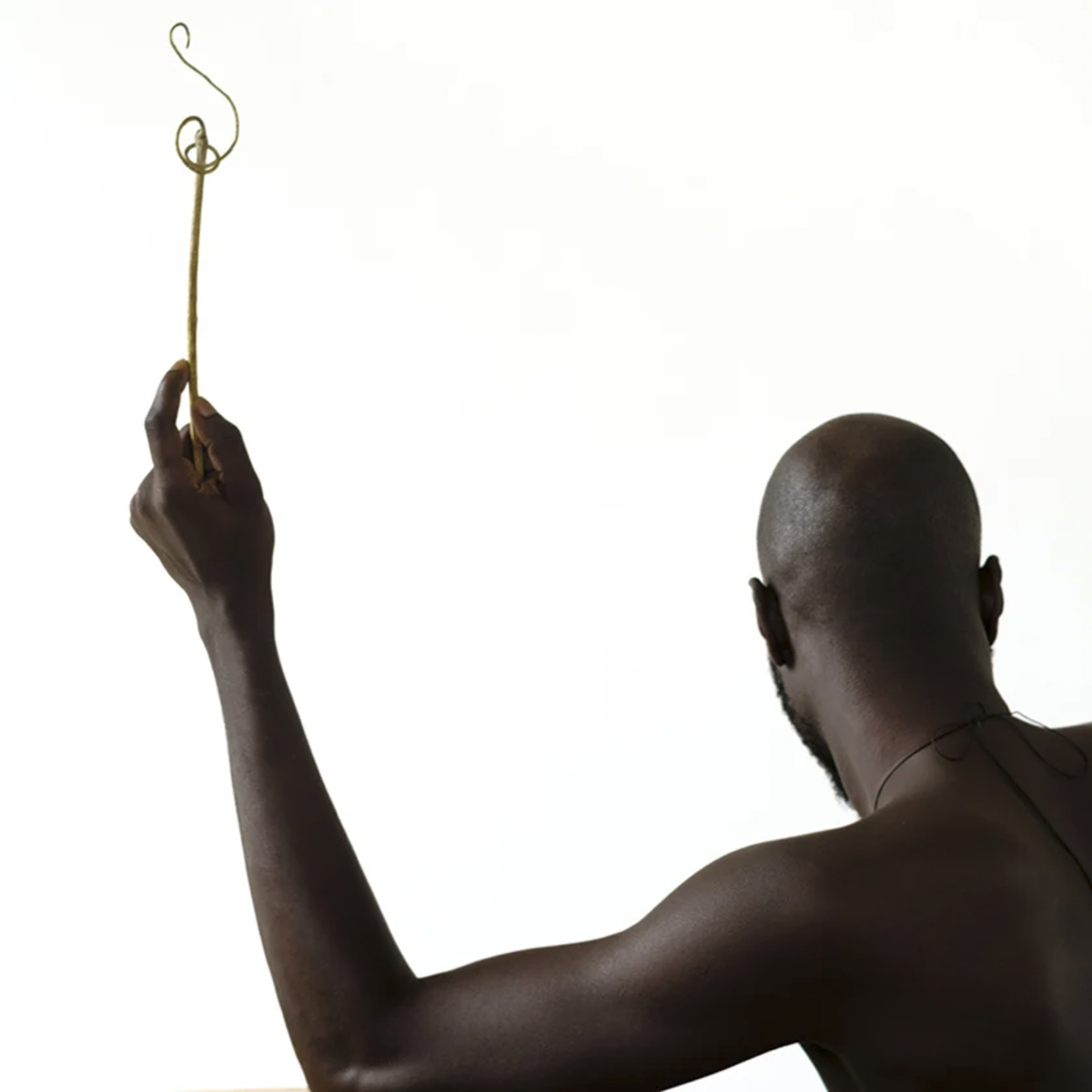 山东航空B-5349 - 波音, 737, 尼康, 天河机场, 武