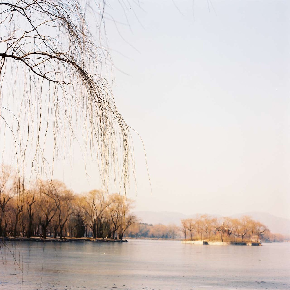 颐和园 - 中画幅, Mamiya - 积极分子