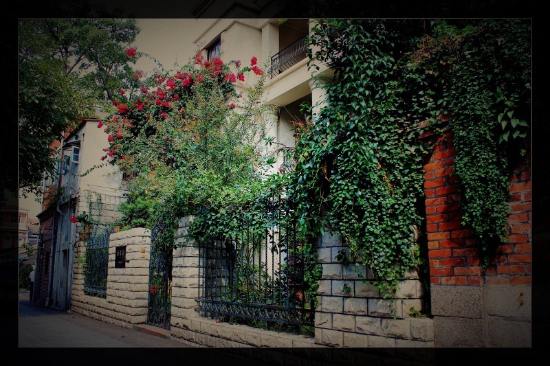 清雅居 - 清雅居 - 呆呆8818