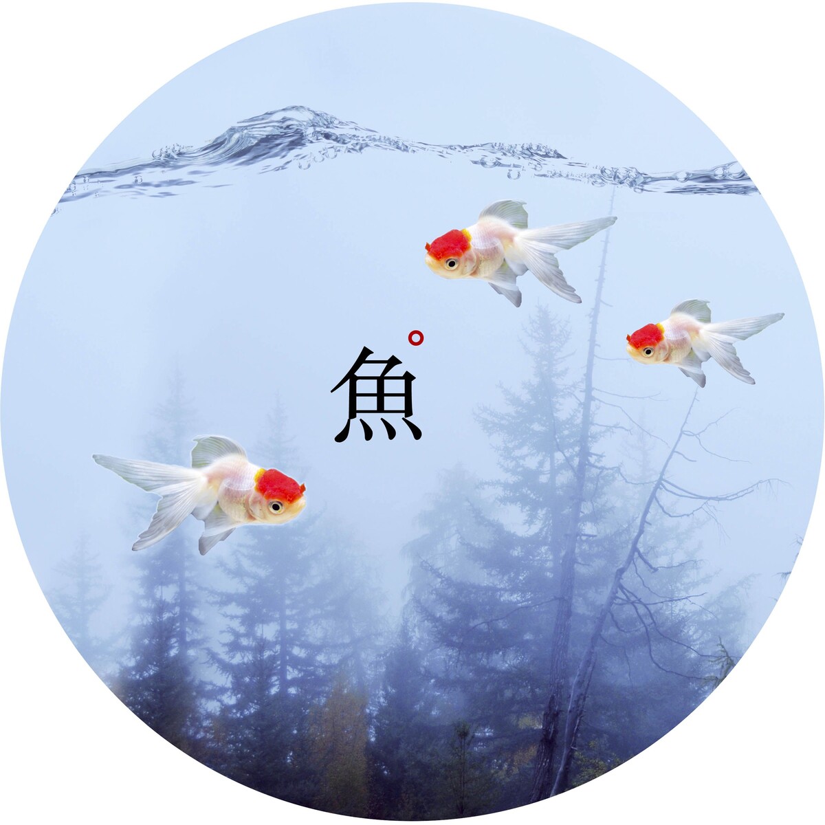 小鱼的梦想