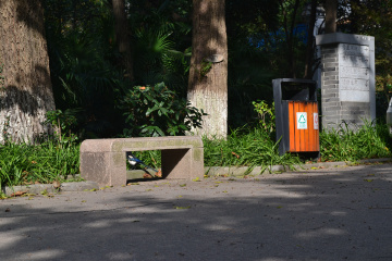 如蕤 - 图虫摄影网