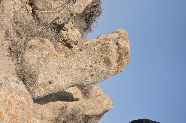 脚 - 哥特式寂寞