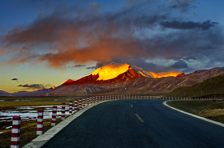 羊卓雍措湖+-+老树皮