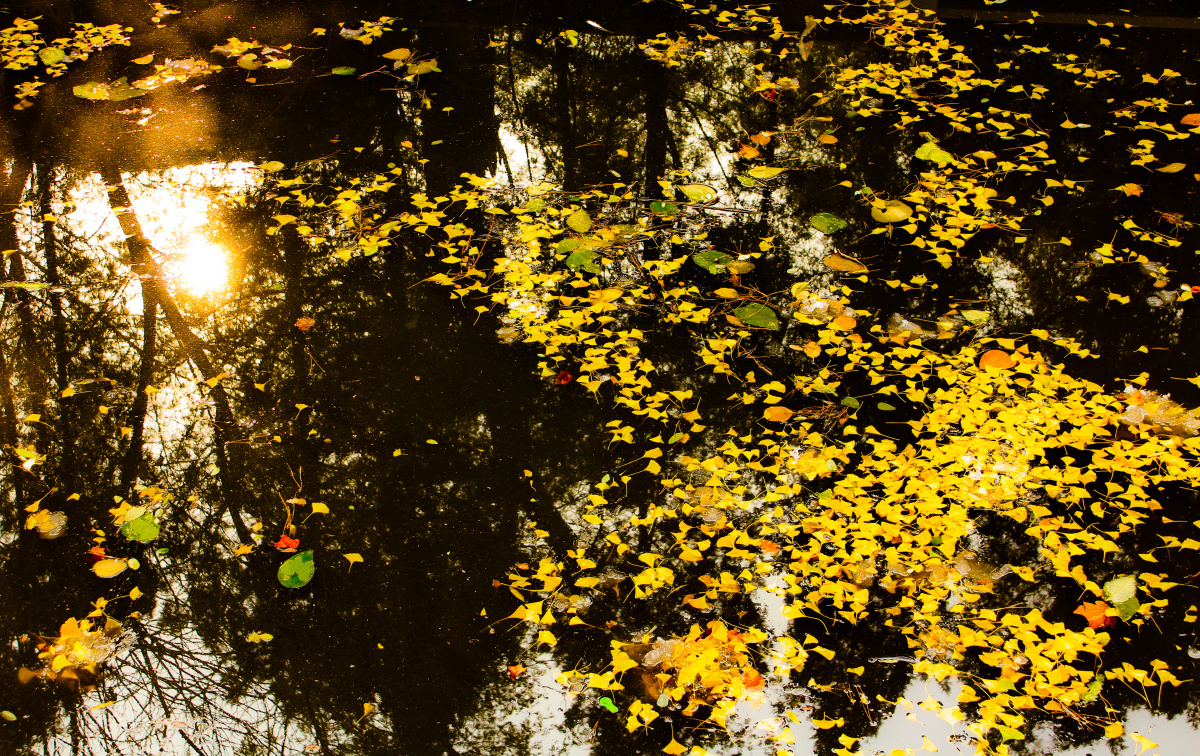 Come on 北京 - 北京, 第一次, 旅行, 艺考, 成长