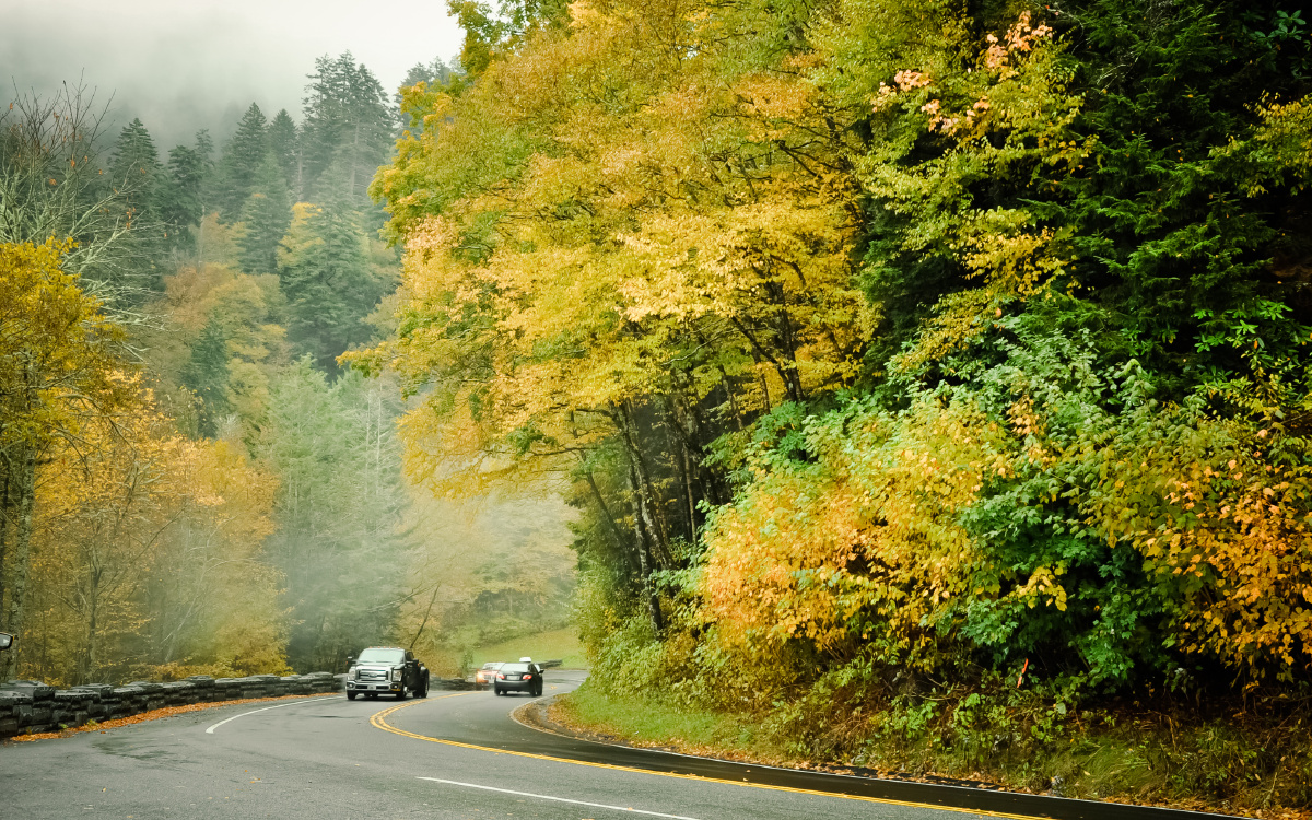 20141010-DSC_0095 - 四小夕 - 图虫摄影网