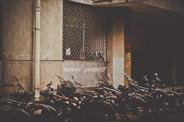 学霸情侣图片