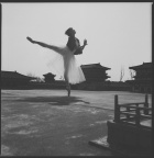 蜻蜓