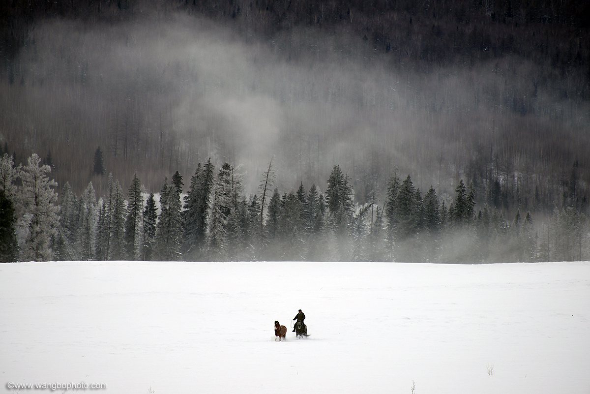 虽千万人吾往矣 - 黑白, 风光 - 一镜收江南