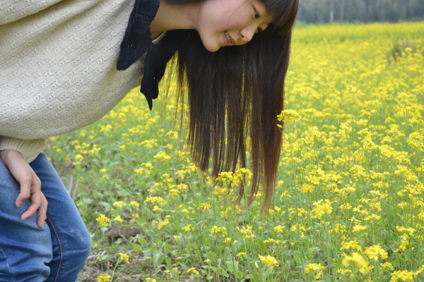 MSDOS的分享 - MSDOS