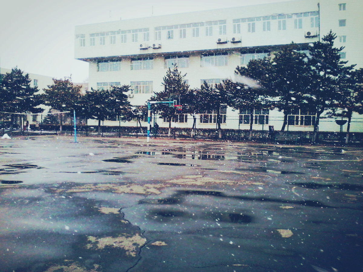 其实这时候篮球场特别浪漫特别唯美 - 都快四月