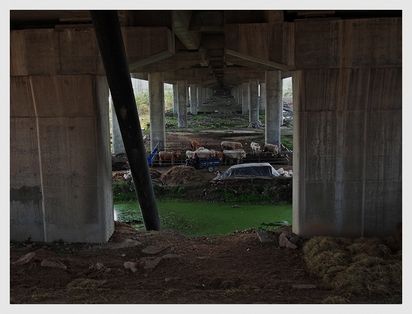 淮安运河大桥.淮安市清浦区 - 色彩, 人文, E-M5