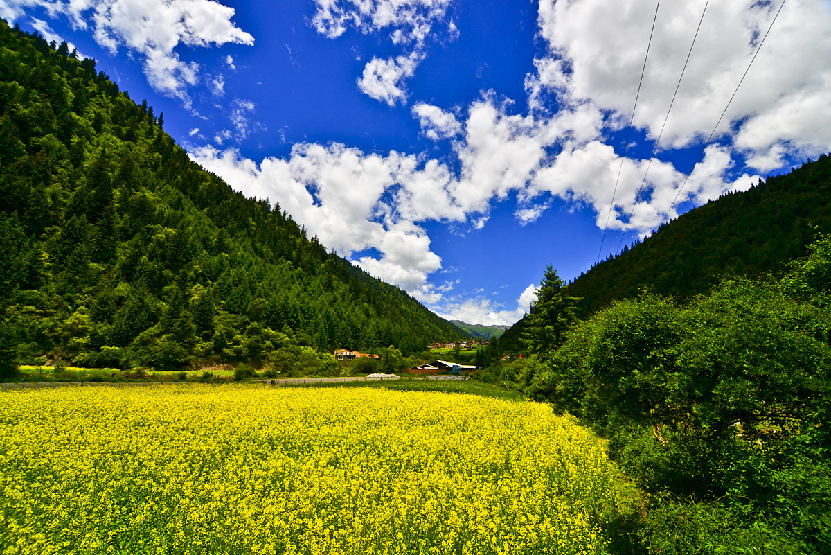 2013理县DSC_4011 - 乔峰