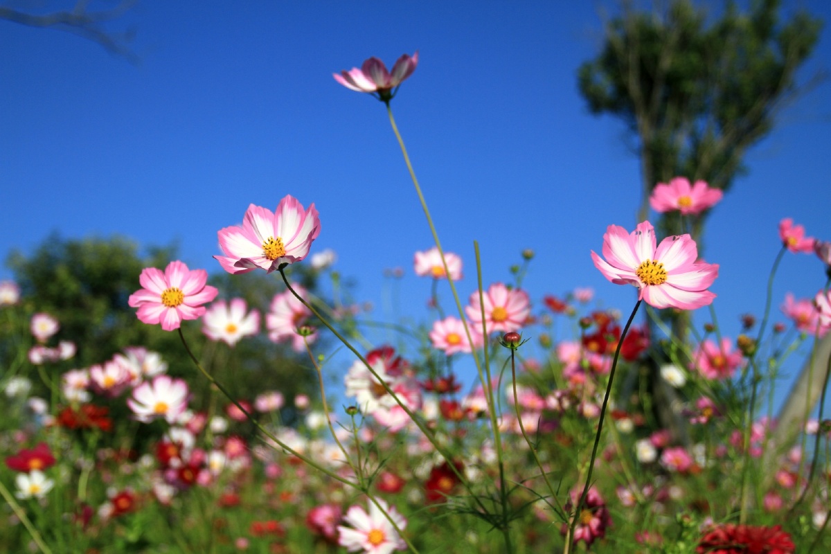 济宁小北湖 - tigerzhao
