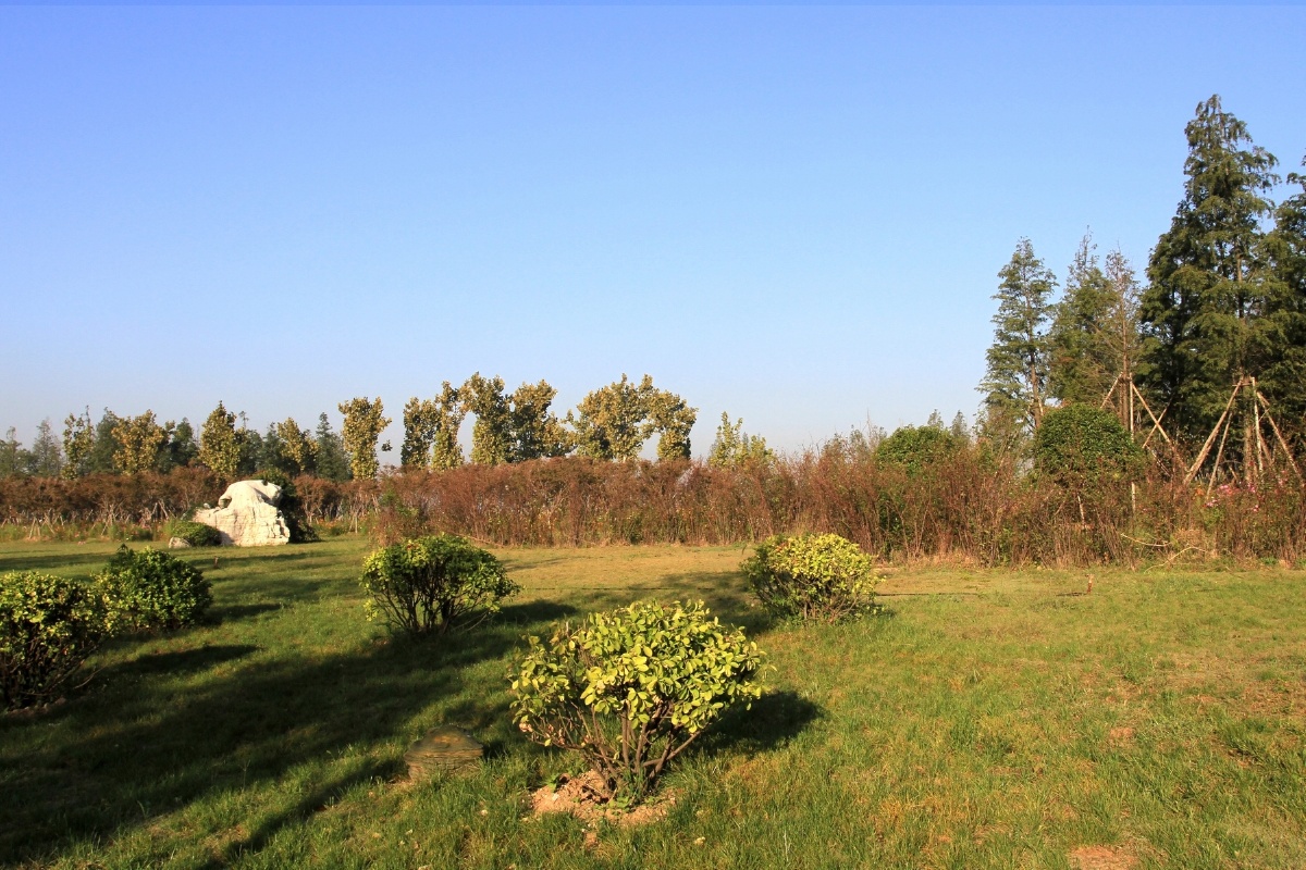 济宁小北湖 - tigerzhao