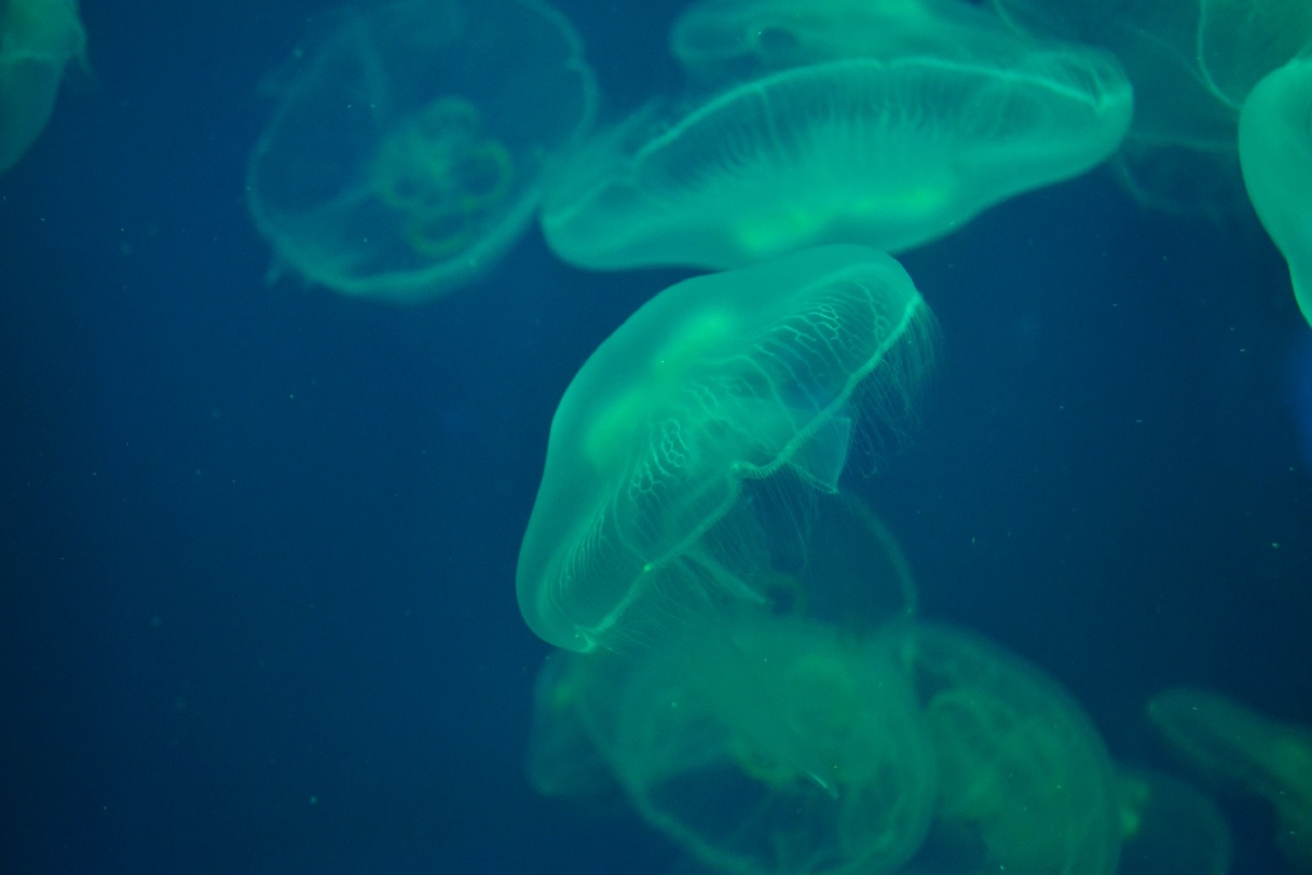 444444.jpg - WaitingAlone - 图虫摄影网