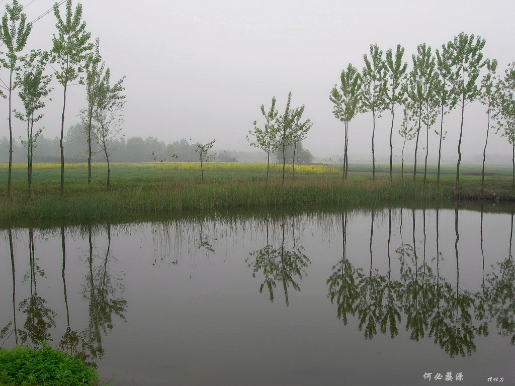 何必婺源 - 风景, 春天, 油菜花 - 惯性力