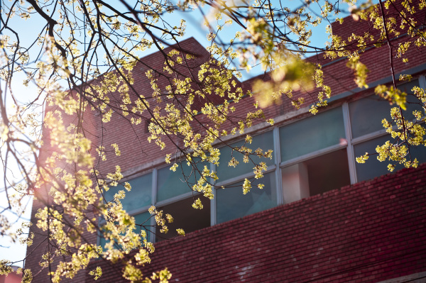 星空烛火标为王圣俊的图博 - 星空烛火