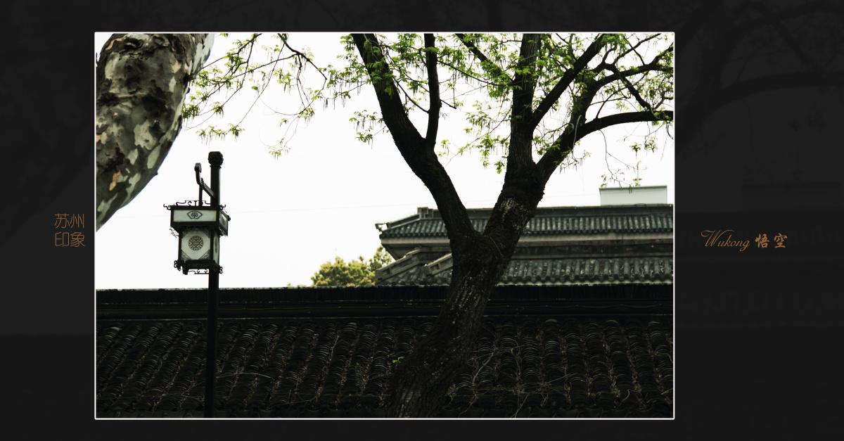 苏州印象 - 虹口悟空