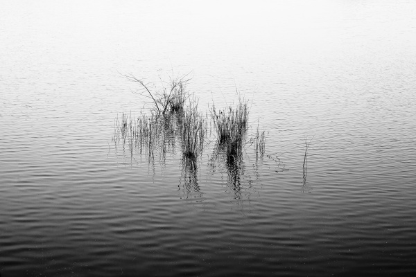 Waken - 图虫摄影网