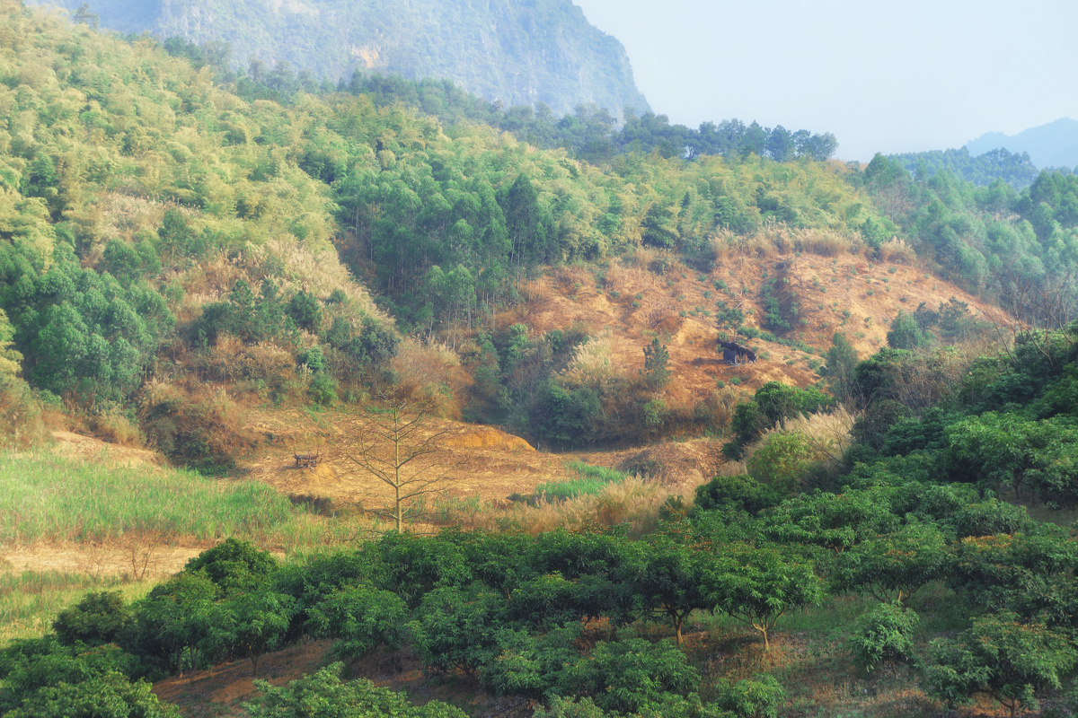 广西田东县思林镇 - 风光 - 私家技者