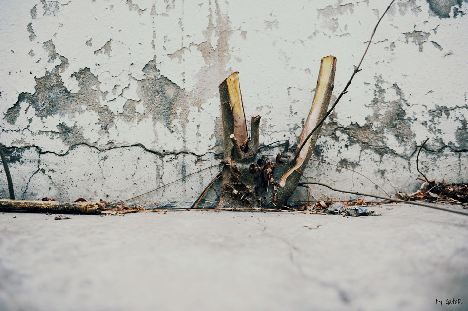 the wall - GateR - 图虫摄影网