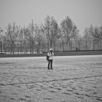 随意-7