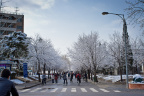 snow in thu-1