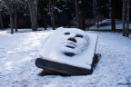 snow in thu-5