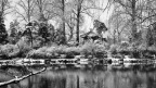 snow in thu-8