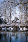 snow in thuX-1