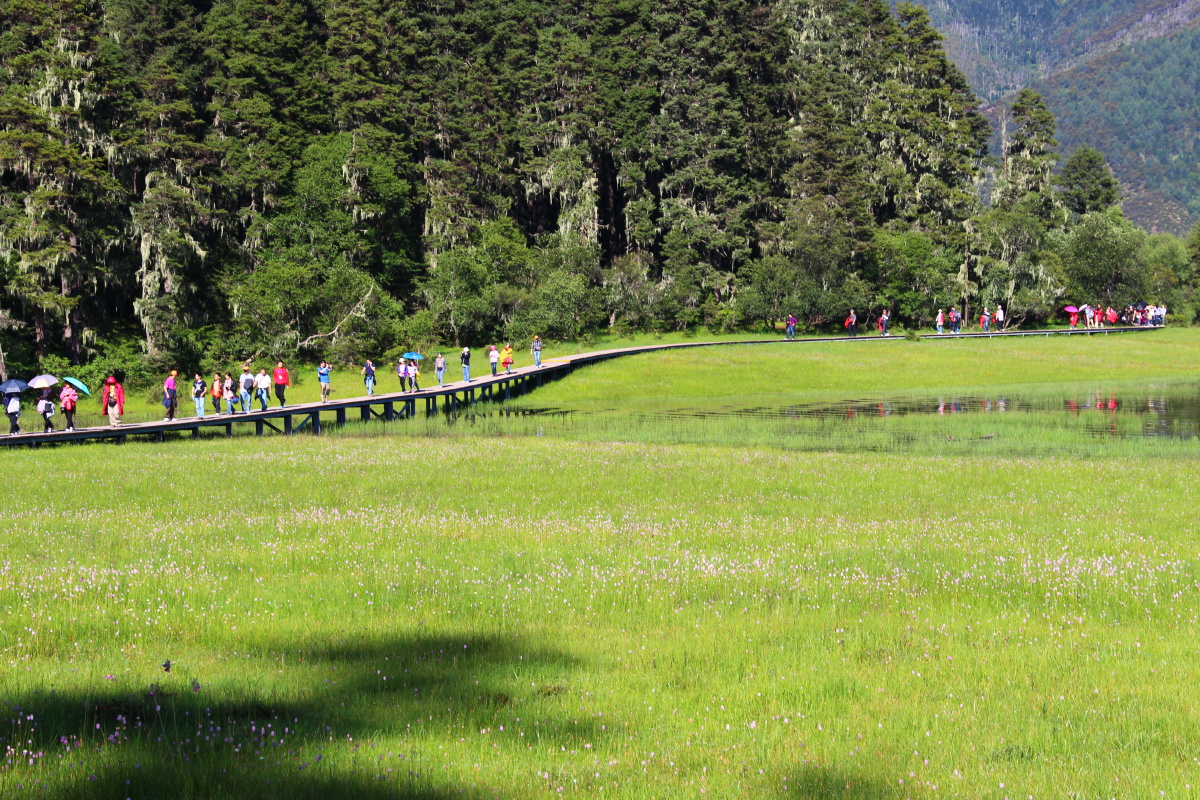 夏天,不需要辞藻 - 许心怡反射弧超级长 - 许心怡