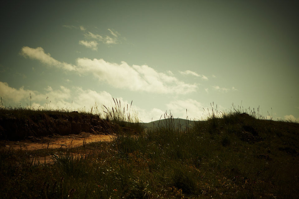 远方不远 - 青海湖·油菜花开 - 我是黑人曾